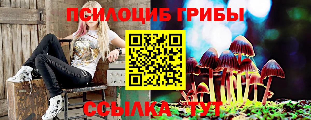 Псилоцибиновые грибы мицелий  Псилоцибиновые грибы ЛСД  Сокол  Вход с VPN 