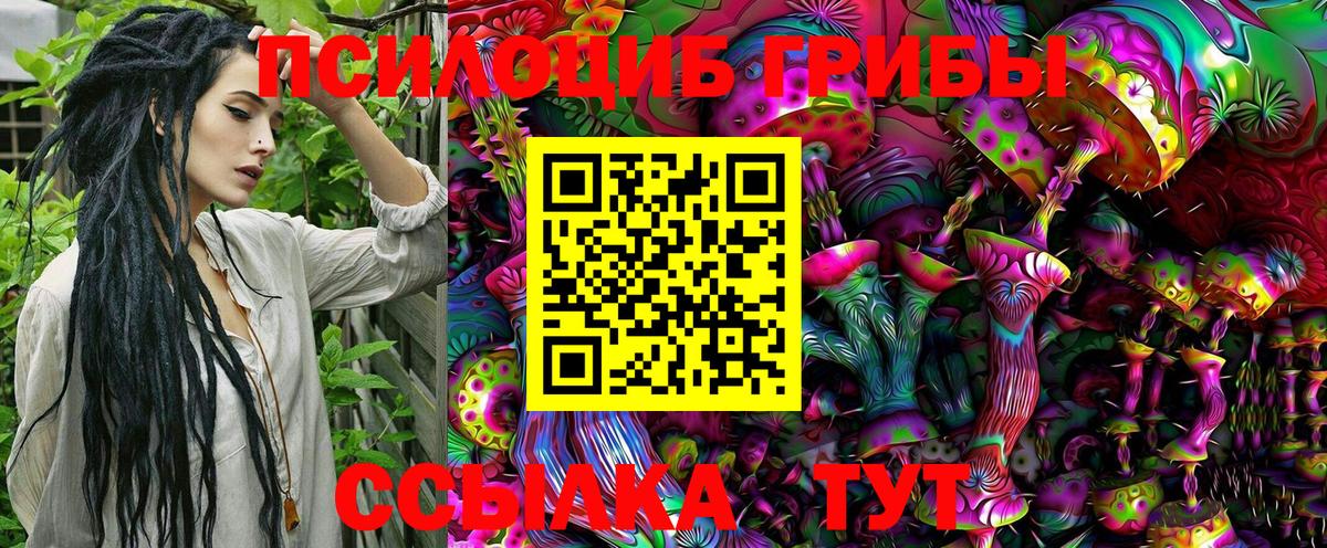 Псилоцибиновые грибы Cubensis Сокол