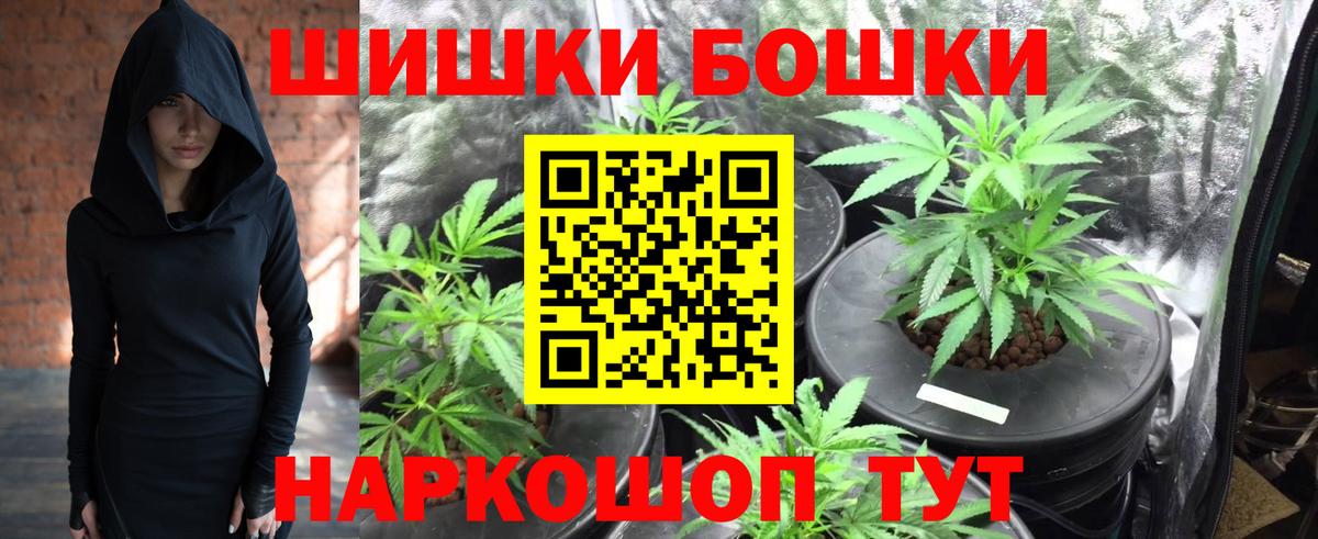 Канабис семена Сокол